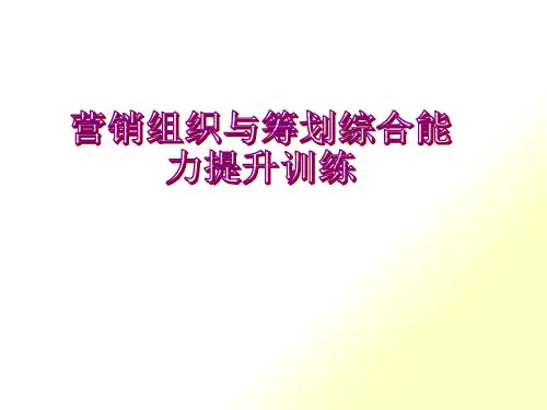 营销组织与策划综合能力提升训练