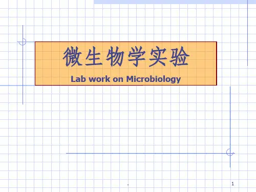 实验室环境和人体表面微生物检查常用器皿的包扎ppt课件