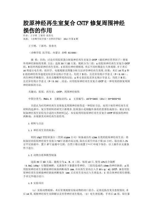 胶原神经再生室复合CNTF修复周围神经损伤的作用
