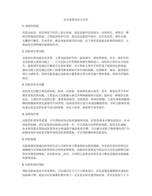 认识皮肤知识点总结