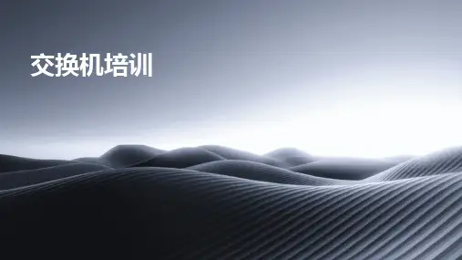 2024版交换机培训