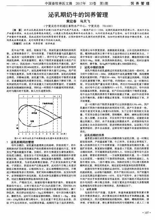 泌乳期奶牛的饲养管理