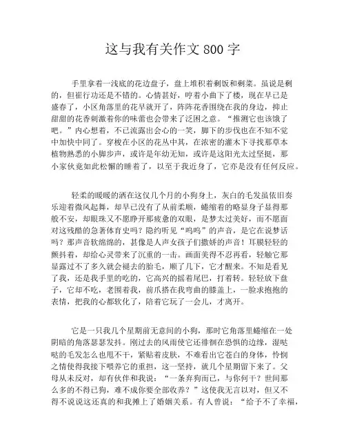这与我有关作文800字