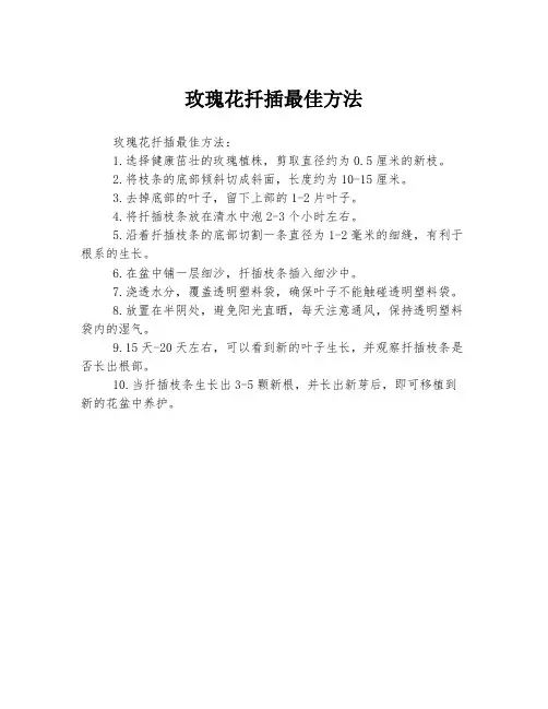 玫瑰花扦插最佳方法