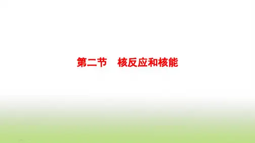 2019届二轮复习核反应和核能课件(55张)