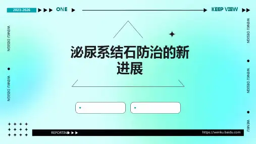 泌尿系结石防治的新进展PPT课件