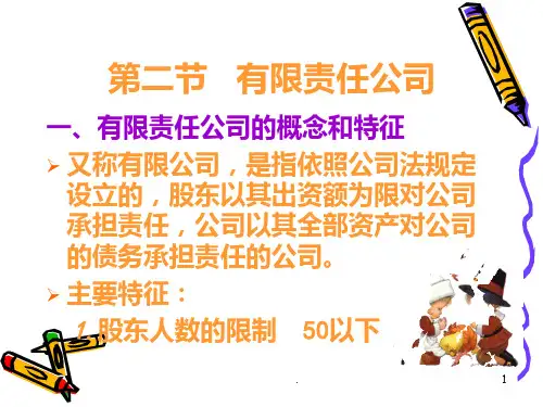有限责任公司PPT课件