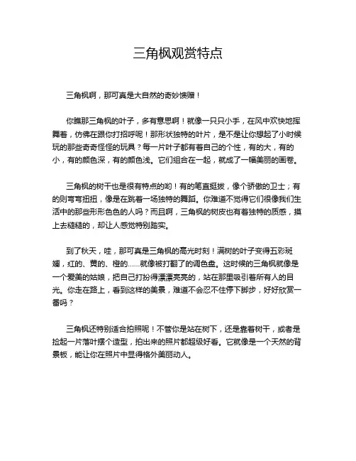 三角枫观赏特点