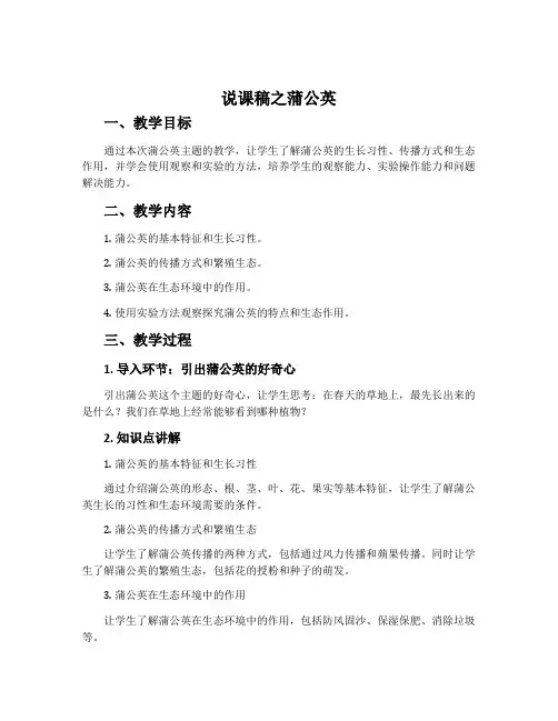 说课稿之蒲公英