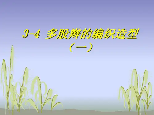 3-4多股辫的编织造型(一)