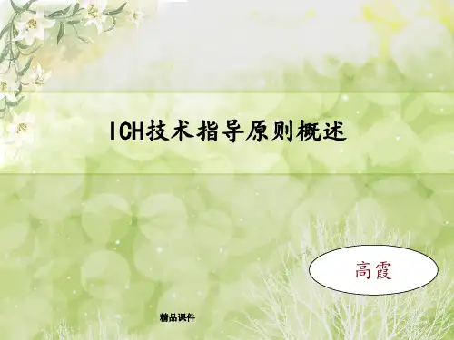 ICH技术指导原则概述
