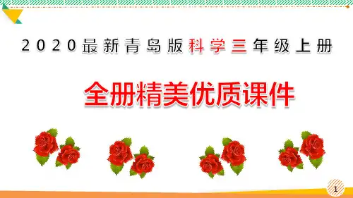 最新2020青岛版科学三年级上册全册优质课件(全册)
