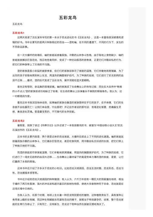 五彩龙鸟——精选推荐
