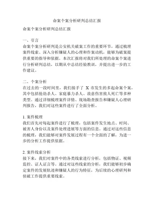命案个案分析研判总结汇报