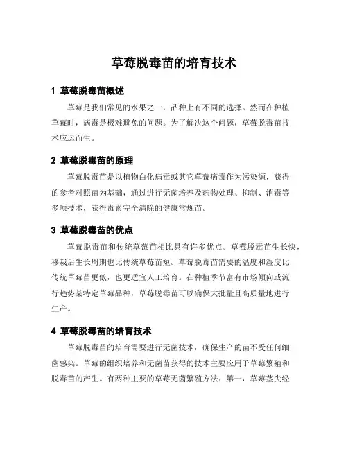 草莓脱毒苗的培育技术