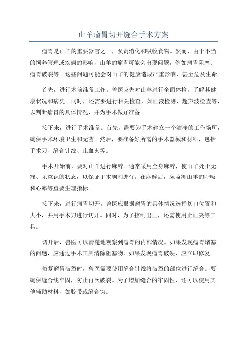 山羊瘤胃切开缝合手术方案