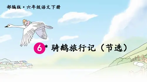 部编版六年级语文下册第6课《骑鹅旅行记》精品课件(共27张PPT)