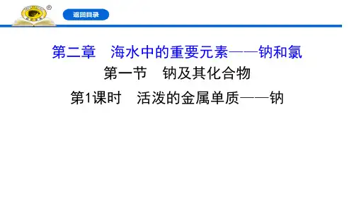 人教版高中化学必修一 活泼的金属单质——钠 钠及其化合物