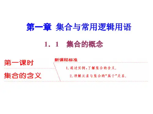 1.1第一课时集合的含义PPT课件(人教版)
