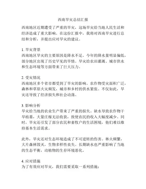 西南旱灾总结汇报