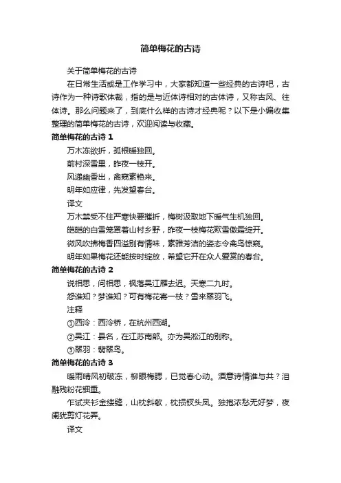 关于简单梅花的古诗