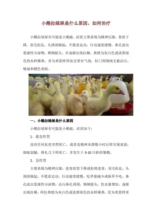 小鹅拉绿屎是什么原因,如何治疗