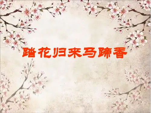 公开课侧面描写精品PPT课件