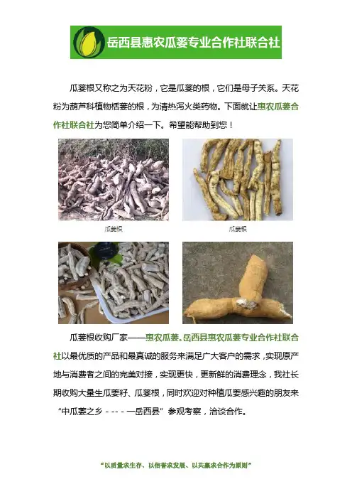 哪里收购瓜蒌根