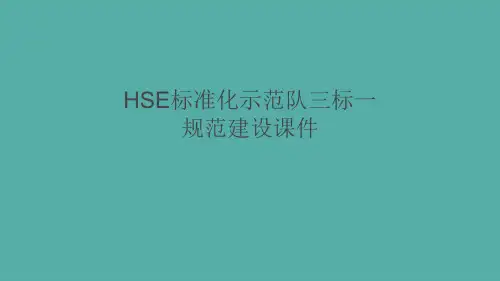 HSE标准化示范队三标一规范建设课件