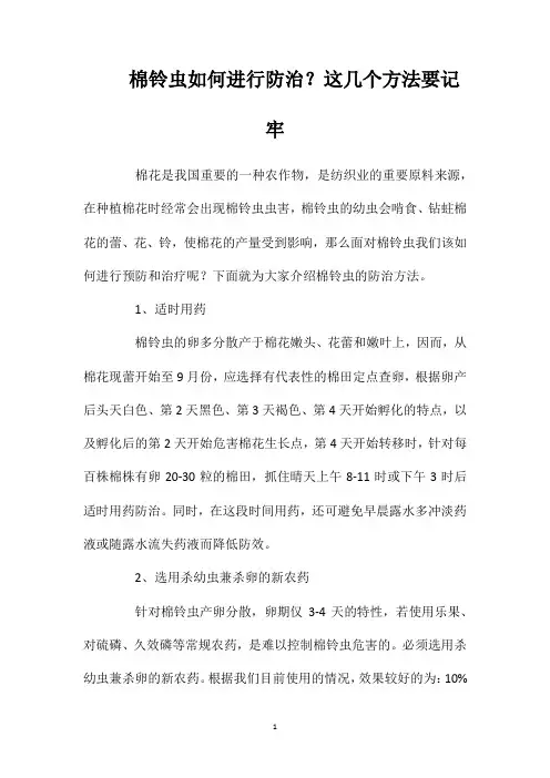 棉铃虫如何进行防治？这几个方法要记牢