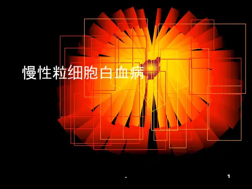 慢性粒细胞白血病护理PPT课件