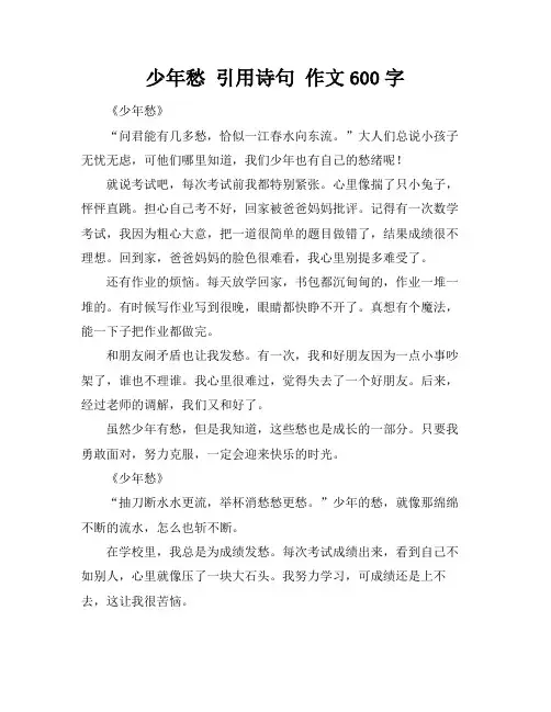少年愁 引用诗句 作文600字