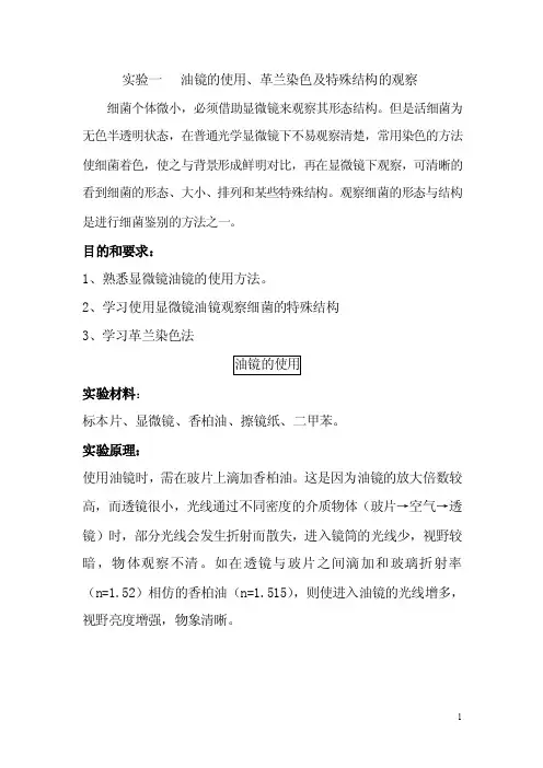 实验一油镜的使用`革兰染色及特殊结构的观察