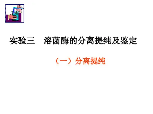 实验3 溶菌酶分离提纯