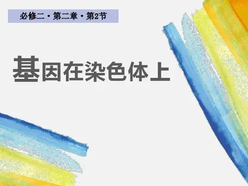 基因在染色体上(教学PPT) (1)