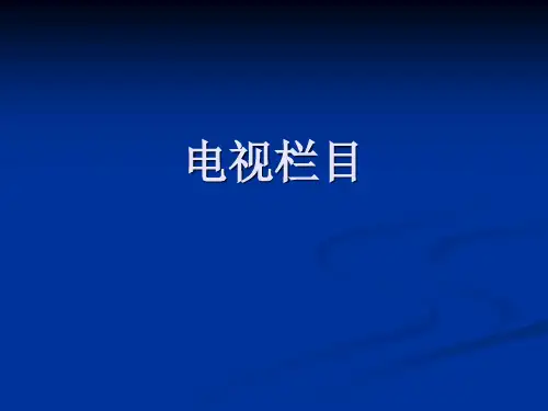 电视l栏目分析