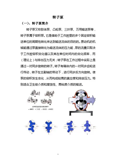摆动转子泵