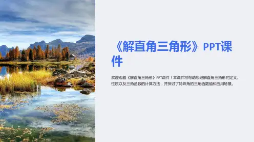 《解直角三角形》课件