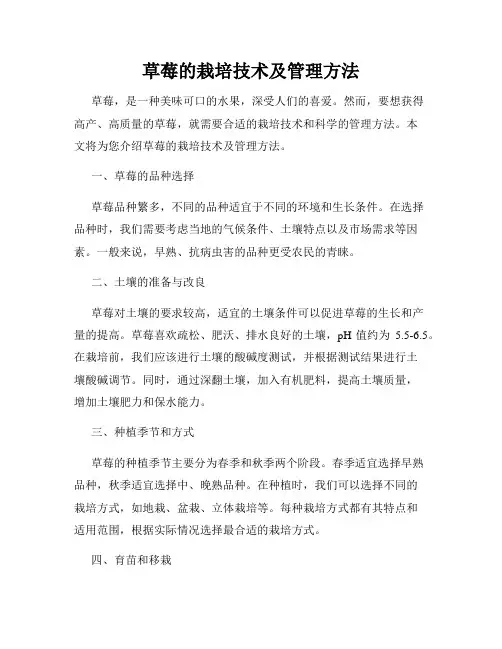草莓的栽培技术及管理方法