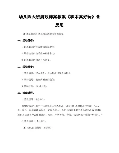 幼儿园大班游戏详案教案《积木真好玩》含反思
