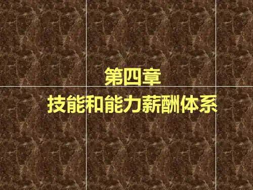 第四章技能和能力薪酬体系