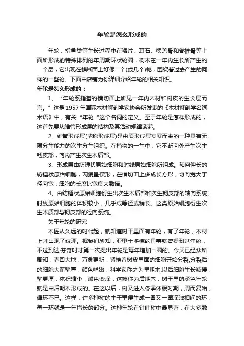 年轮是怎么形成的