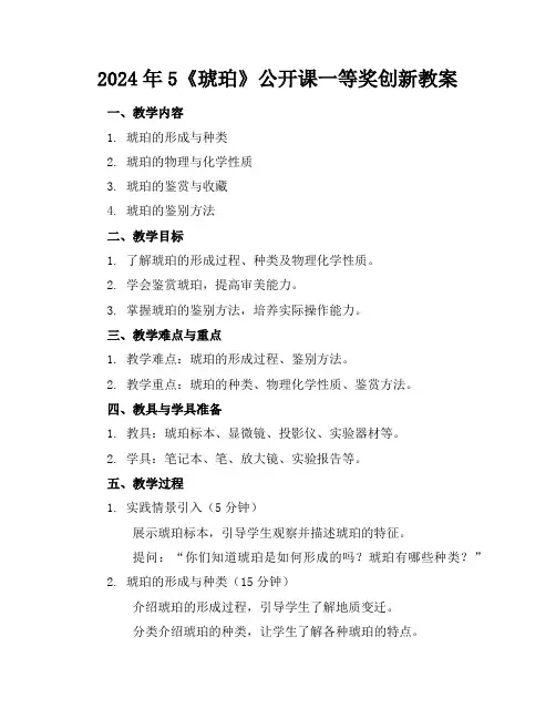 2024年5《琥珀》公开课一等奖创新教案