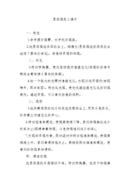 显微镜怎么操作