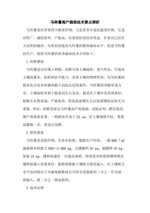 马铃薯高产栽培技术要点
