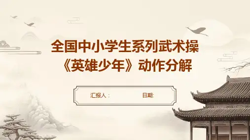 全国中小学生系列武术操《英雄少年》动作分解