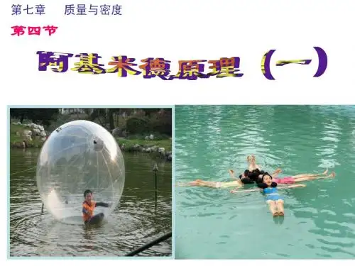 沪教版上海科技版八年级物理 阿基米德原理(一)  PPT课件