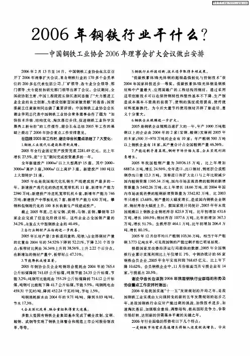 2006年钢铁行业干什么？——中国钢铁工业协会2006年理事会扩大会议做出安排