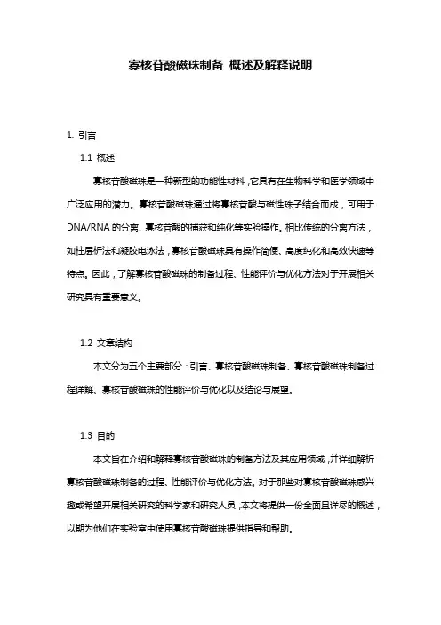 寡核苷酸磁珠制备_概述及解释说明