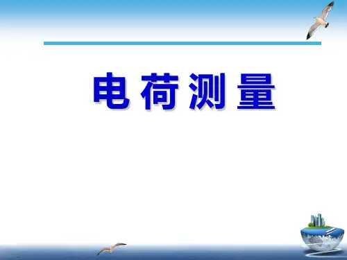 电荷测量